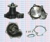 AQUAPLUS 85-6600 Water Pump